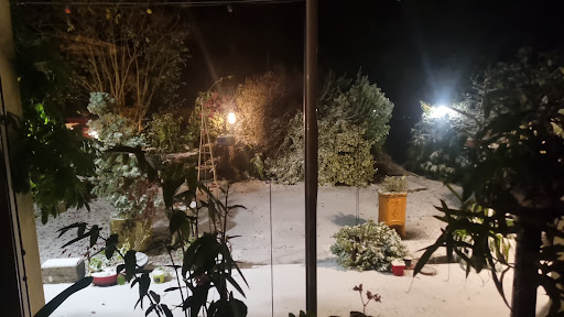 Photo de La Maison Bric et Broc à Saint-Carreuc (22150)