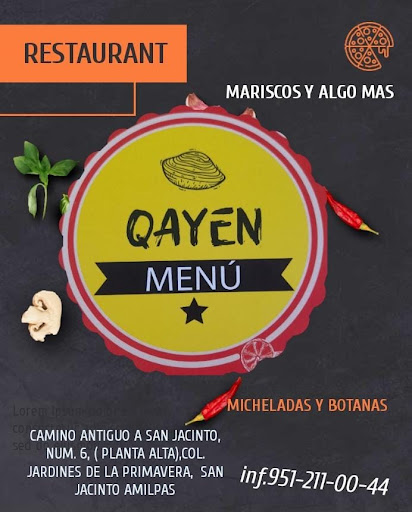 QAYEN - Visual