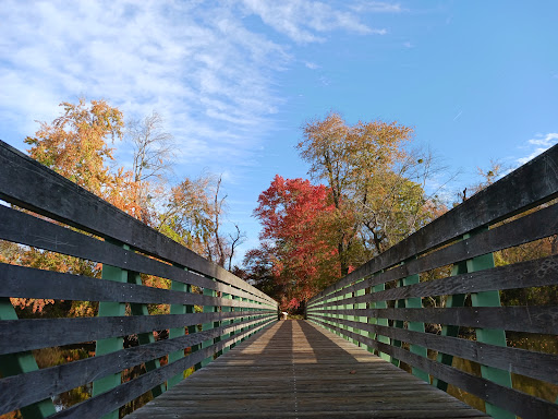 Milford Dog Park - Thumbnail