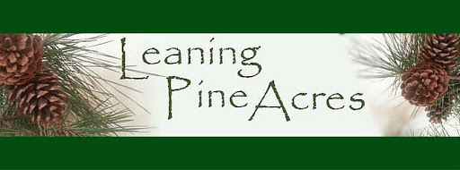LeaningPineAcres.com - Visual
