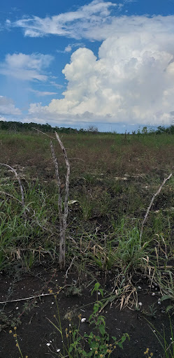 Sabana la escondida