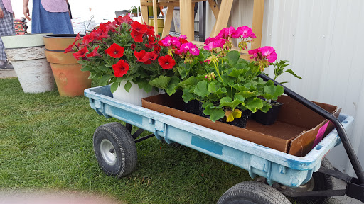 Country Garden Greenhouse - Thumbnail