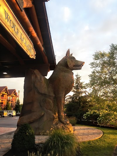 Great Wolf Lodge Water Park | Mason