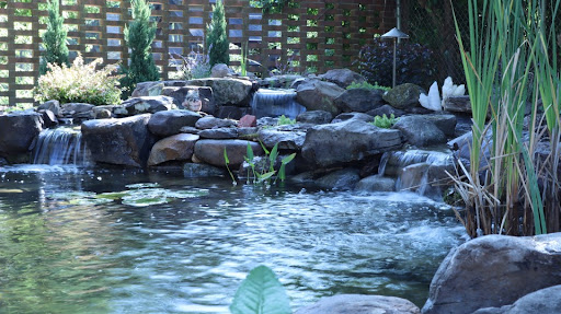 Avatar for Ponds by Bee