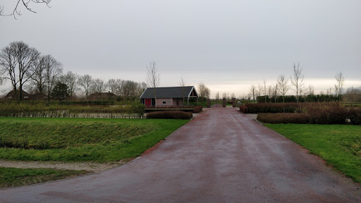 Nieuwe Algemene Begraafplaats De Stuivenberg - Thumbnail