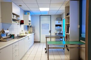 Photo n°17 de Clinique Vétérinaire du Lac à Sevrier (Clinique vétérinaire)