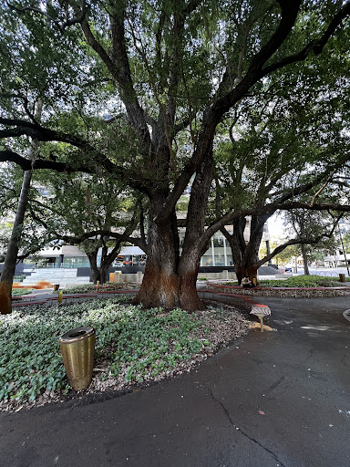 Florence Hummerston Reserve - Thumbnail