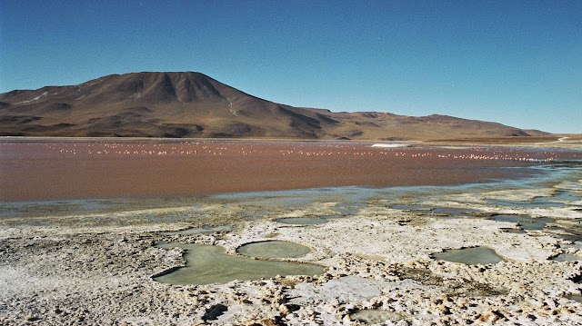 Laguna Colorada