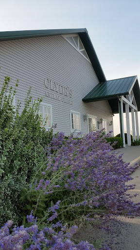 Clyde's Animal Clinic - Thumbnail