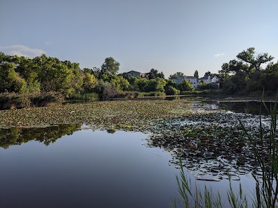 Glassman Pond