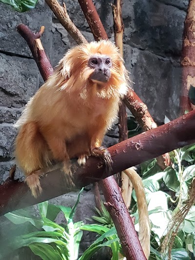 Idaho Falls Zoo at Tautphaus Park