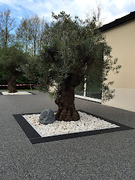 Photo n°7 de Home Video Concept à Meudon (Fournisseur d'équipements de visioconférence)