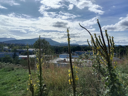 Centre Hospitalier Annecy Genevois : Service des Urgences - Thumbnail
