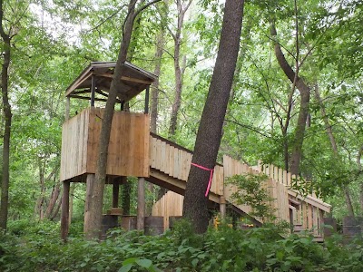 Photos of Saltfork Paintball