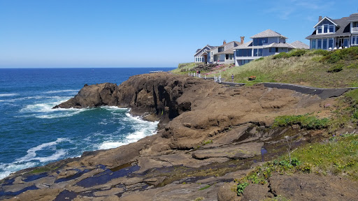 Little Whale Cove Home Owners