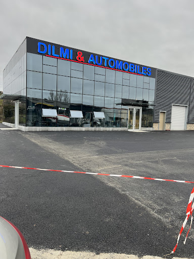SAS DILMI & AUTOMOBILES / SERVICE CARTE GRISE RAPIDE Logo