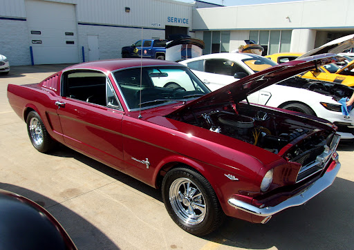 Mangold Ford - Visual