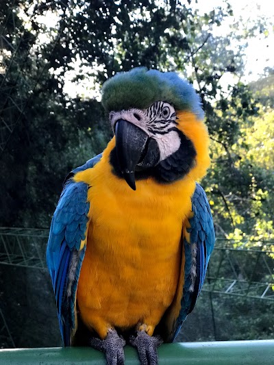 Photos of Bird Dome - Observatory