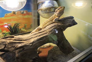 Photo n°28 de Maxi Zoo Saint-Aunès à Saint-Aunès (Animalerie)