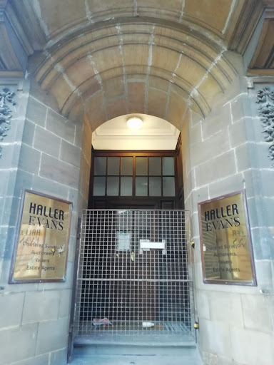 Haller Evans - Visual