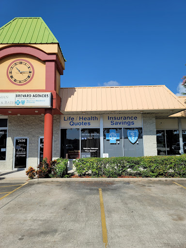 Brevard Agencies - Visual