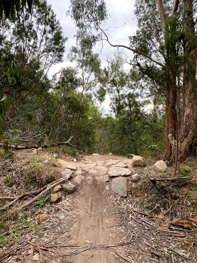 Arthurs Seat MTB Park South Entrance - Thumbnail