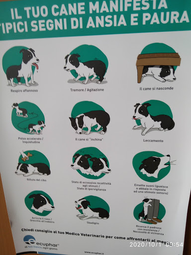Ambulatorio Veterinario Dott.Ssa Dalia Donini - Thumbnail