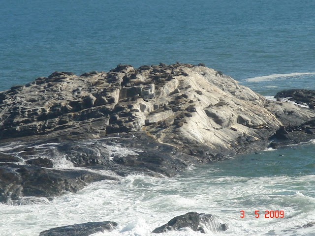 Skeleton Coast Park