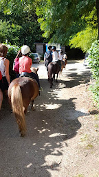 Photo n°4 de Les poneys du val d'emeraude à Lasalle (Ferme pédagogique)