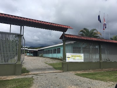 school