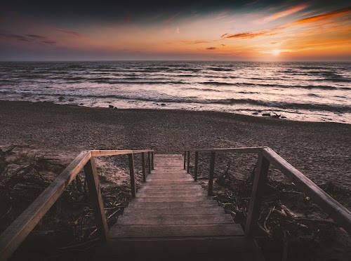 Organic cognitive path "Litorina"