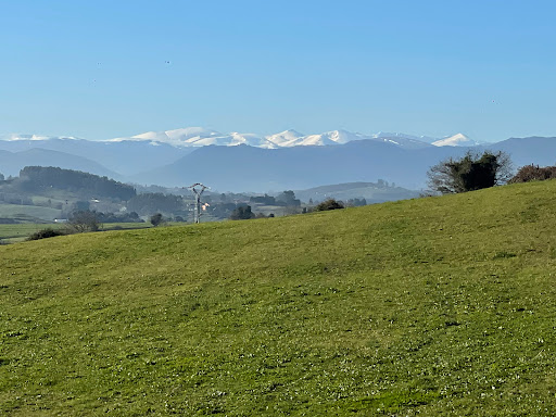 Gornazo - Visual