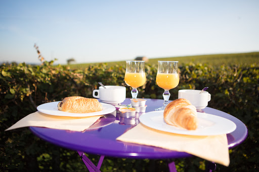 Photo de Camping de la Grappe Fleurie à Fleurie (69820)