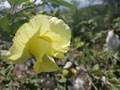 Photos of San Luis De Salinas