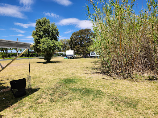 Lake Boga Camp Ground 501-523 - Thumbnail