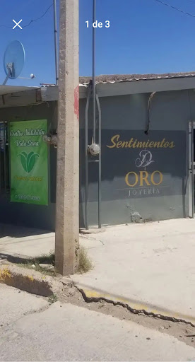 Centro Naturista vida sana Logo
