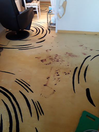 Tolsteam carpet cleaning - Thumbnail