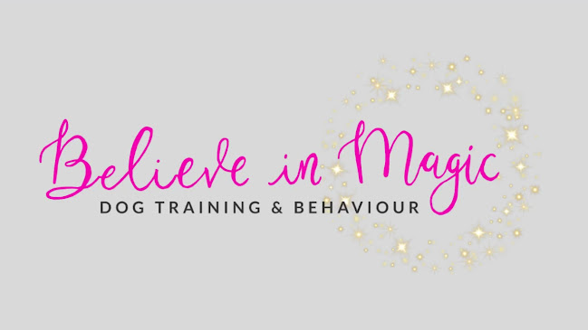 Reviews of Believe In Magic Dog Training & Behaviour in London - Dog trainer