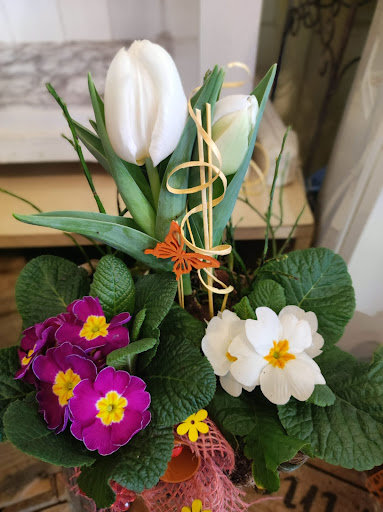 Blumengeschäft Sonnenblume - Thumbnail