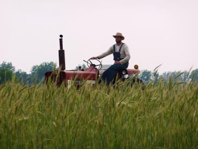 Rinehart Organic Fields and Pastures