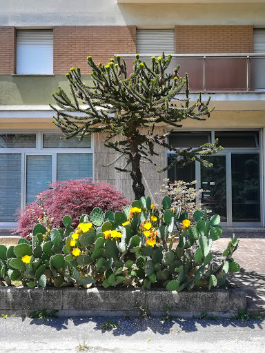 Bios Centro Estetico Faenza - Thumbnail