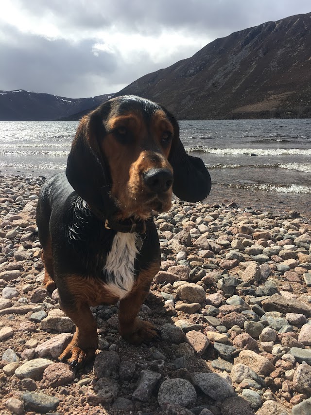 Loch Muick