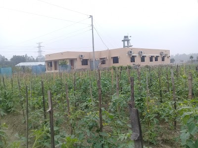 Photos of Ponchosona Resort