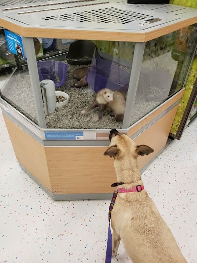 Petco