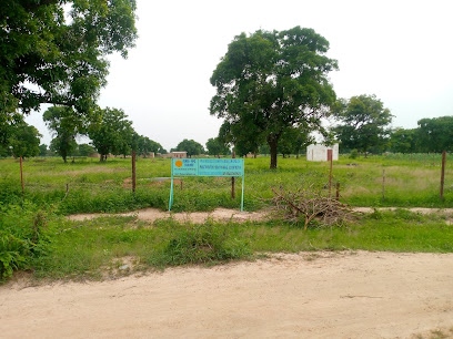 Ferme Agro-Ecologique modernes des Balés-Wendpagnagde (Boromo)