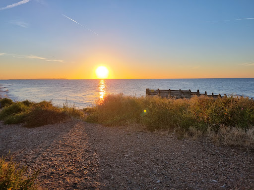 Francesca's Bench Gallery - United Kingdom