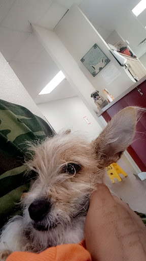 West Texas Emergency Veterinary Clinic - Thumbnail