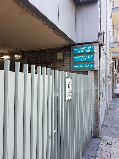 Photos of Dr. Mahmoud Adib Dentistry