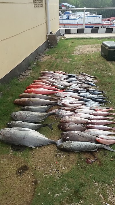 Photos of Shop Monster Fishing