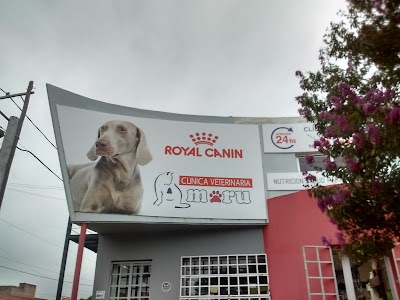 Photos of Amaru Veterinary Clinic